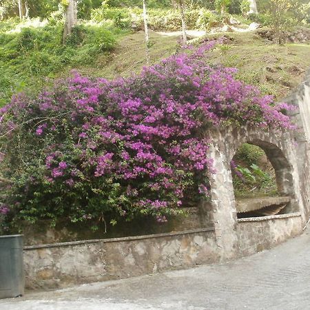 Boinin Heart Villa Soufriere Exterior photo