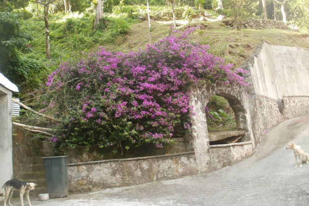 Boinin Heart Villa Soufriere Exterior photo